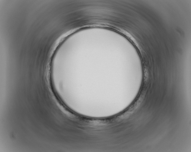 X0000112881379200910021345