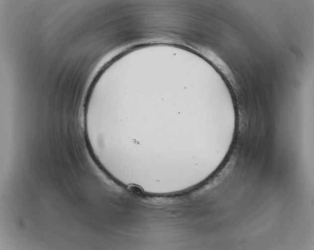 X0000112881380200910021345