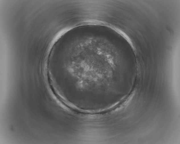 X0000112881381200910021345