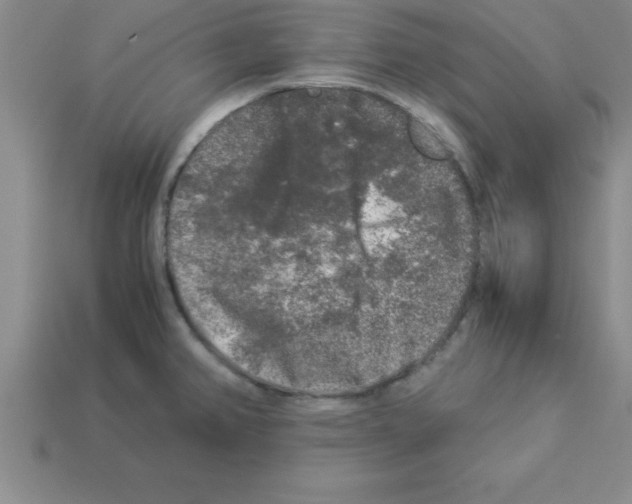 X0000112881382200910021344