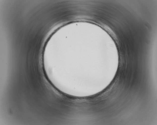 X0000112881384200910021344