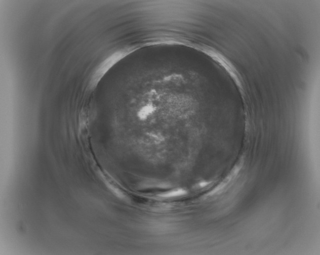 X0000112881385200910021344