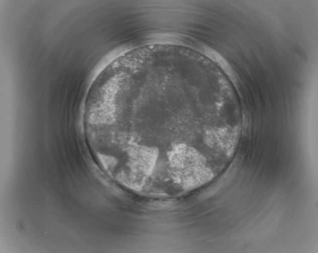 X0000112881386200910021344