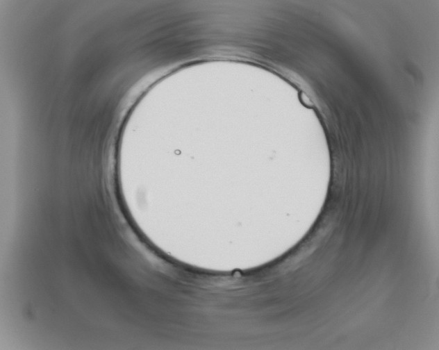 X0000112881387200910021344