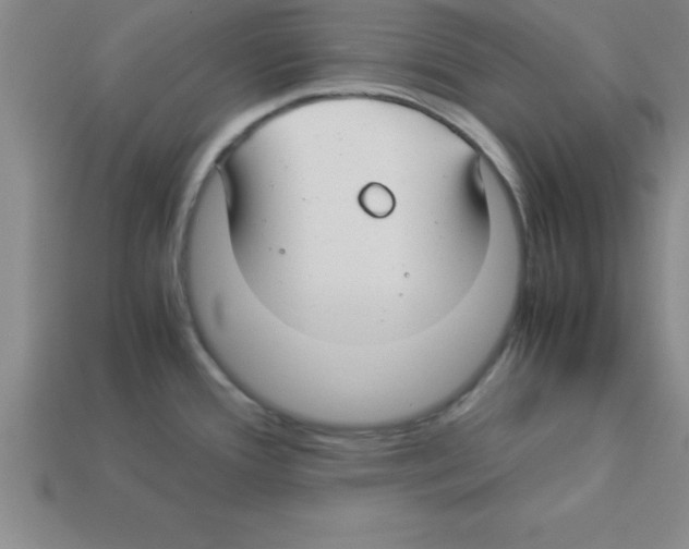 X0000112881388200910021344