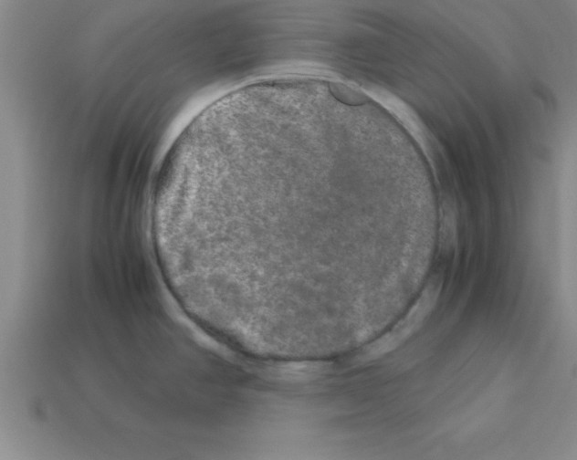 X0000112881390200910021344