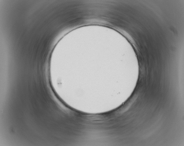 X0000112881391200910021344