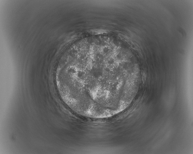 X0000112881393200910021344