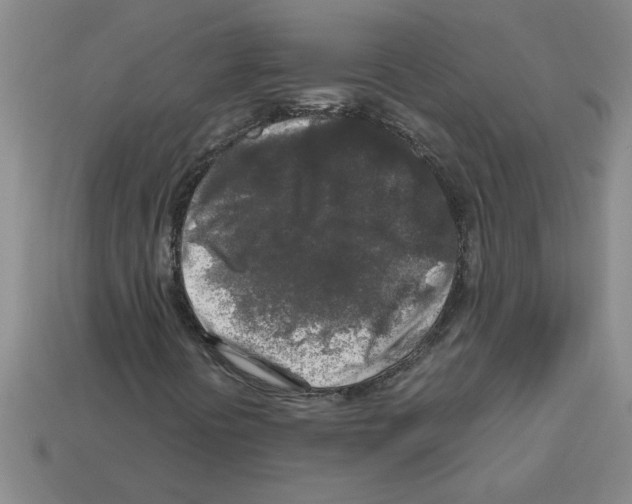 X0000112881394200910021344