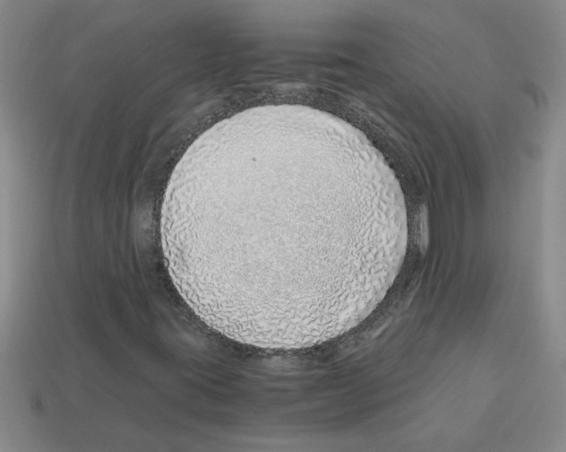 X0000112881395200910021344