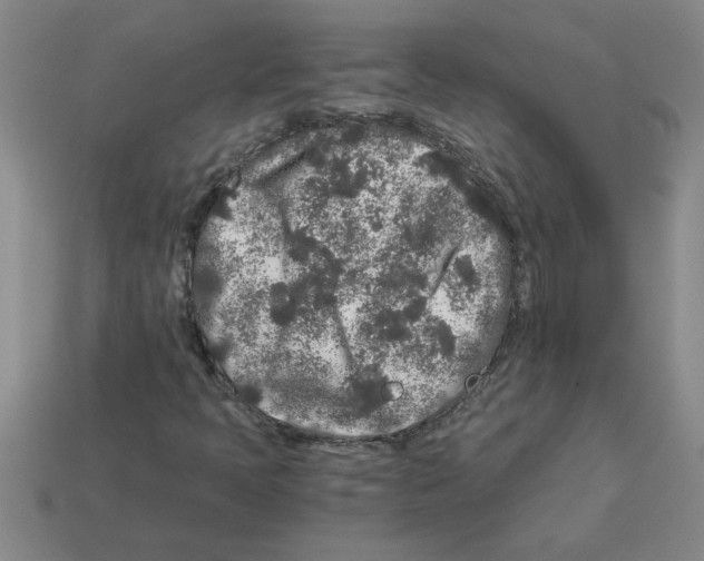 X0000112881397200910021344