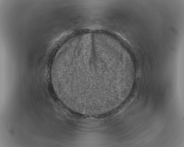 X0000112881398200910021344