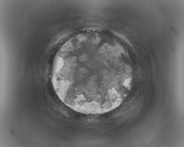 X0000112881399200910021344