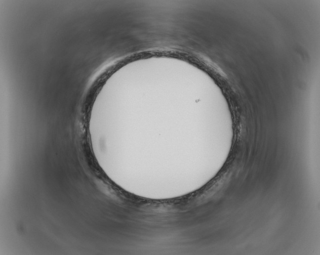 X0000112881400200910021344