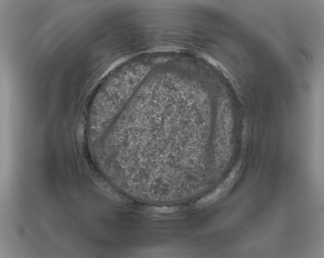 X0000112881401200910021344