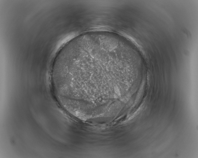 X0000112881405200910021344