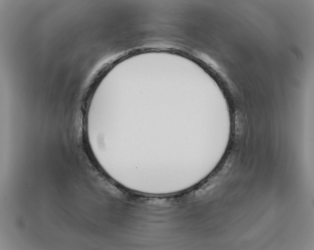 X0000112881408200910021344