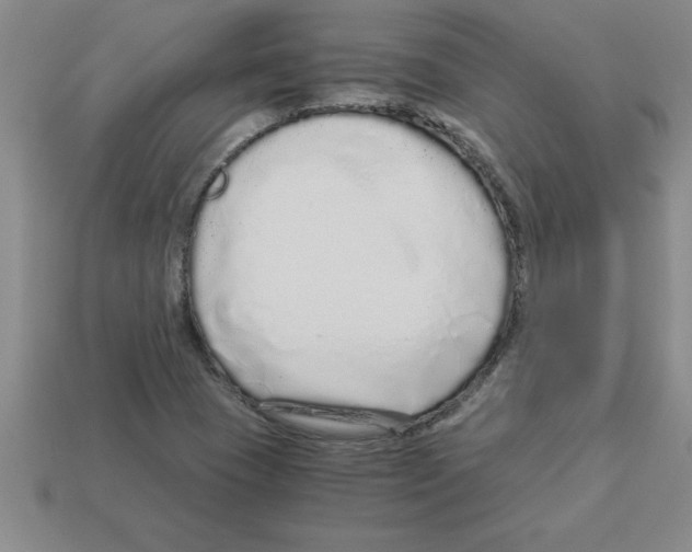 X0000112881409200910021344