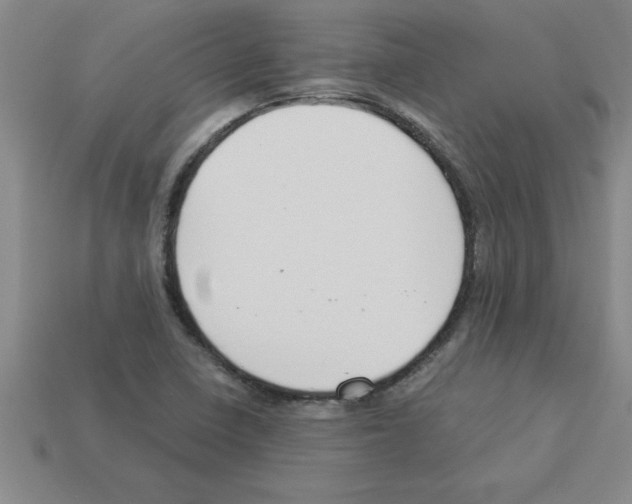 X0000112881410200910021344