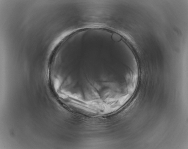 X0000112881414200910021344