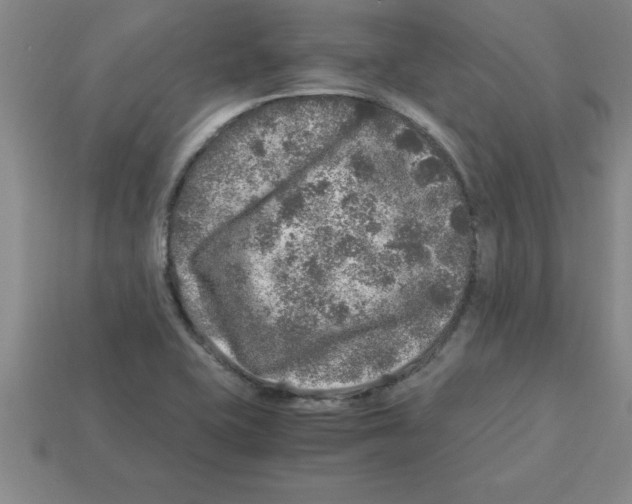 X0000112881415200910021344