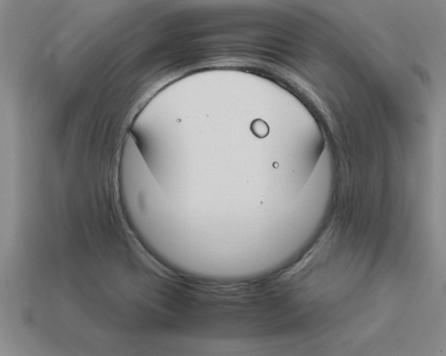 X0000112881417200910021344