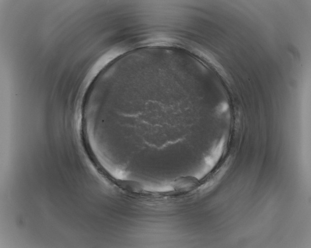 X0000112881418200910021344