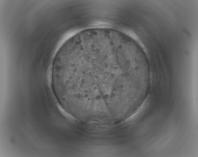 X0000112881421200910021344