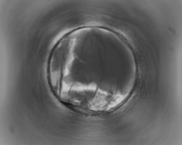 X0000112881422200910021344