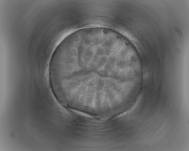 X0000112881423200910021344