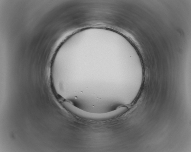 X0000112881424200910021344