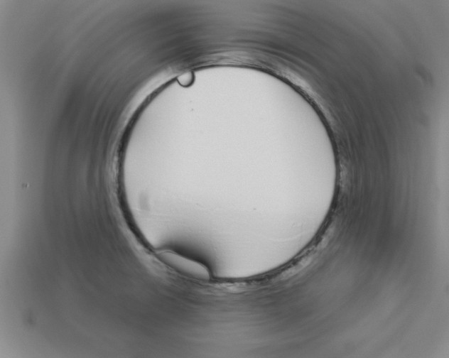 X0000112881426200910021344