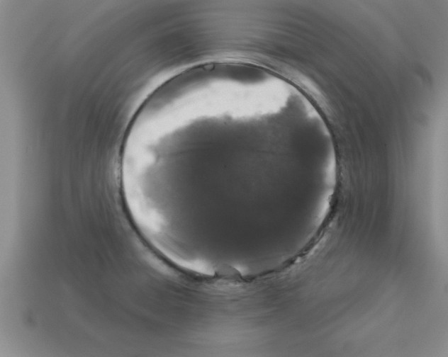 X0000112881428200910021344