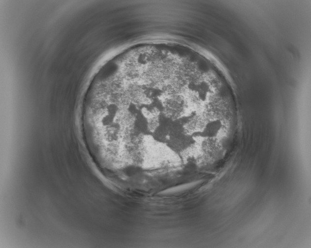 X0000112881429200910021344