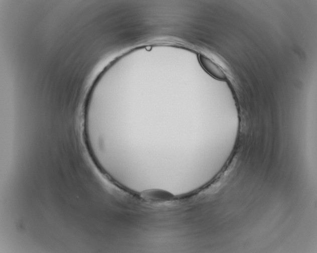 X0000112881430200910021344