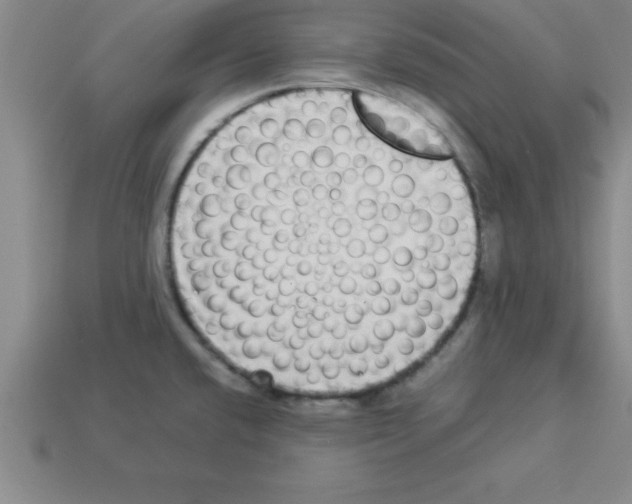 X0000112881432200910021344