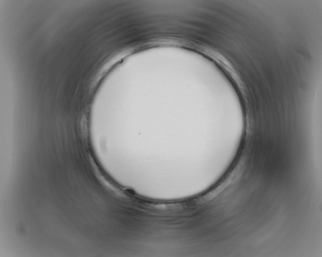 X0000112881433200910021344