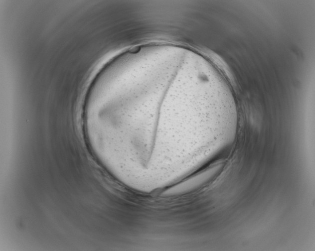 X0000112881435200910021344