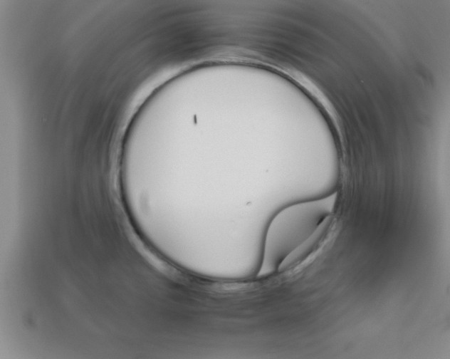 X0000112881437200910021344