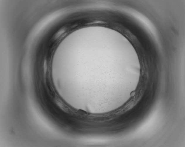 X0000112881439200910021344