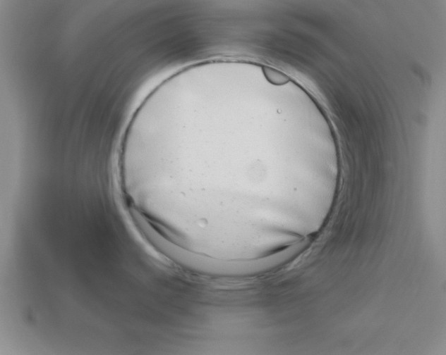 X0000112881440200910021344