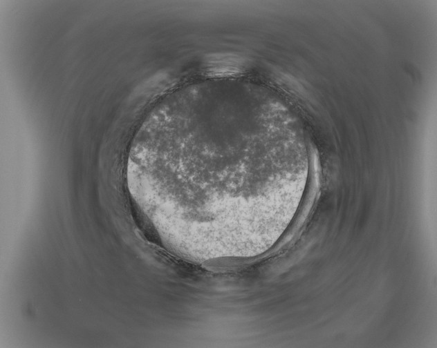 X0000112881441200910021344