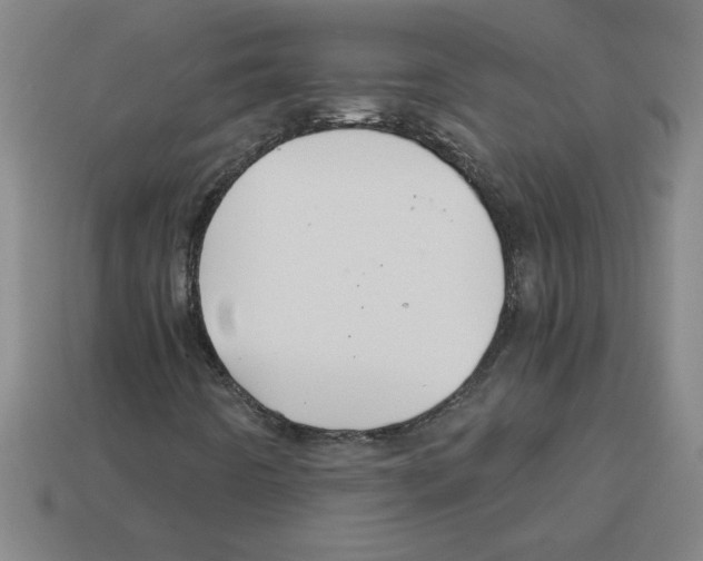 X0000112881442200910021344