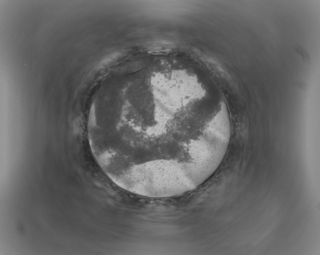 X0000112881445200910021344