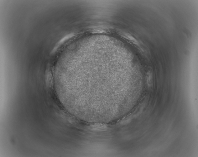 X0000112881446200910021344