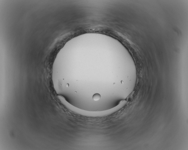 X0000112881447200910021344