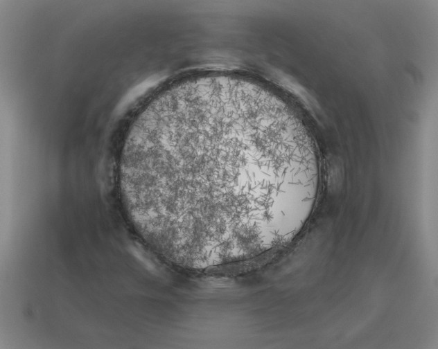 X0000112881448200910021344