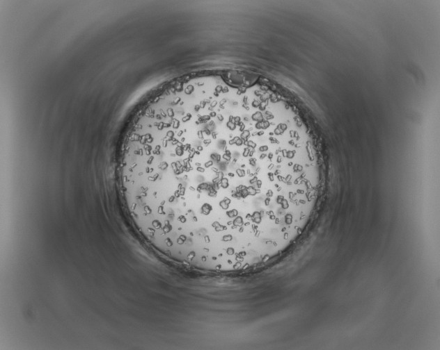 X0000112881450200910021344