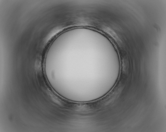 X0000112881452200910021344