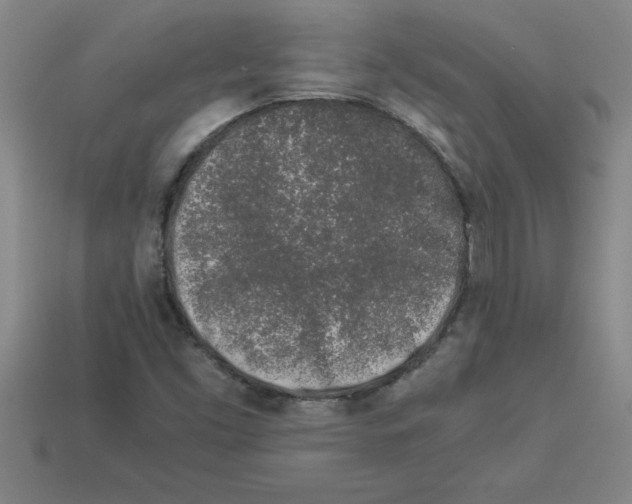 X0000112881453200910021344